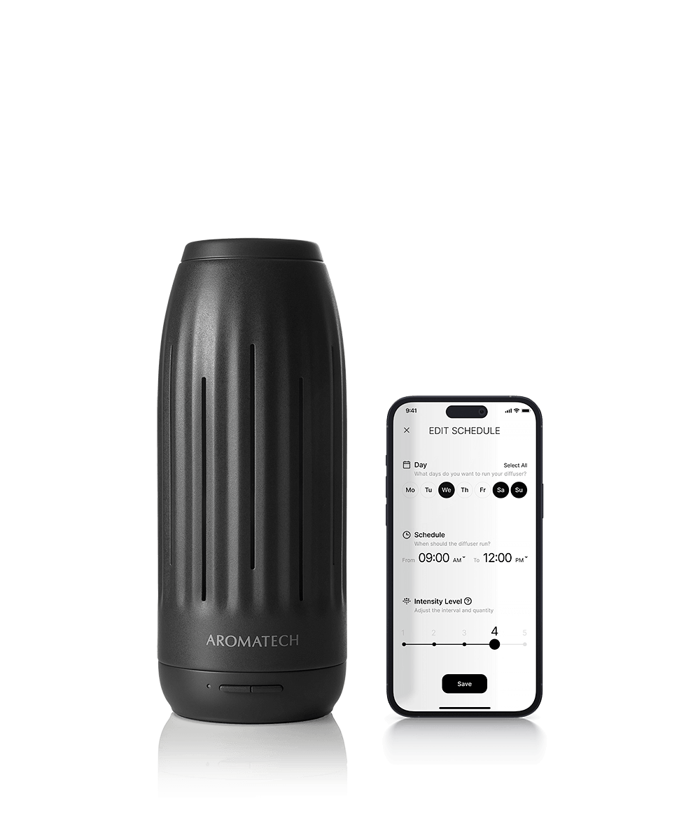 Ambience Mini