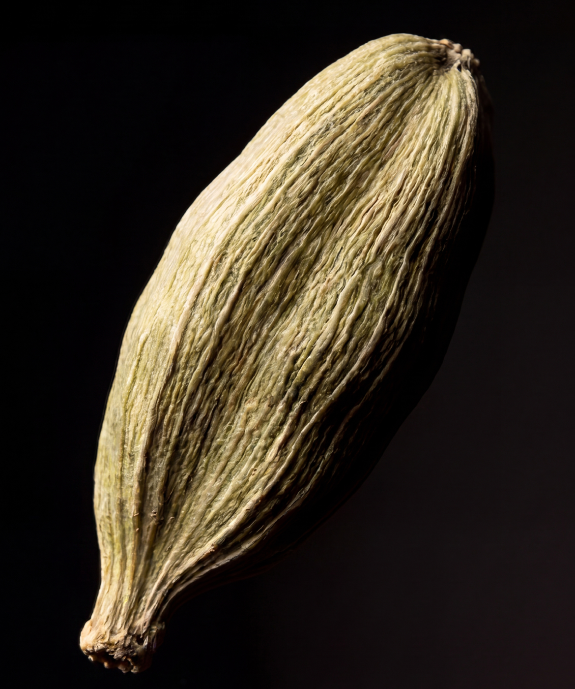 Close up image of the Cardamon