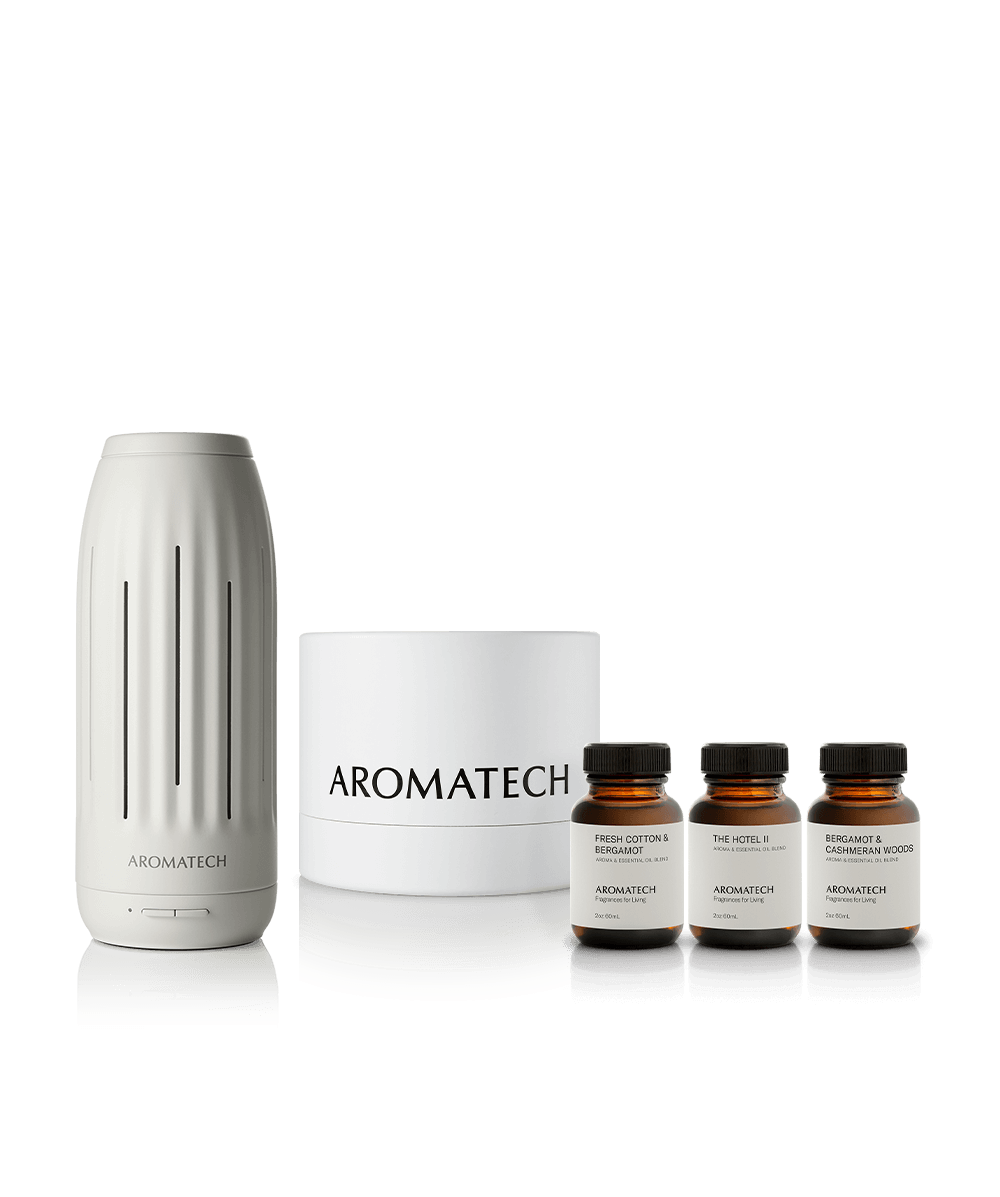 Ambience Mini Discovery Set