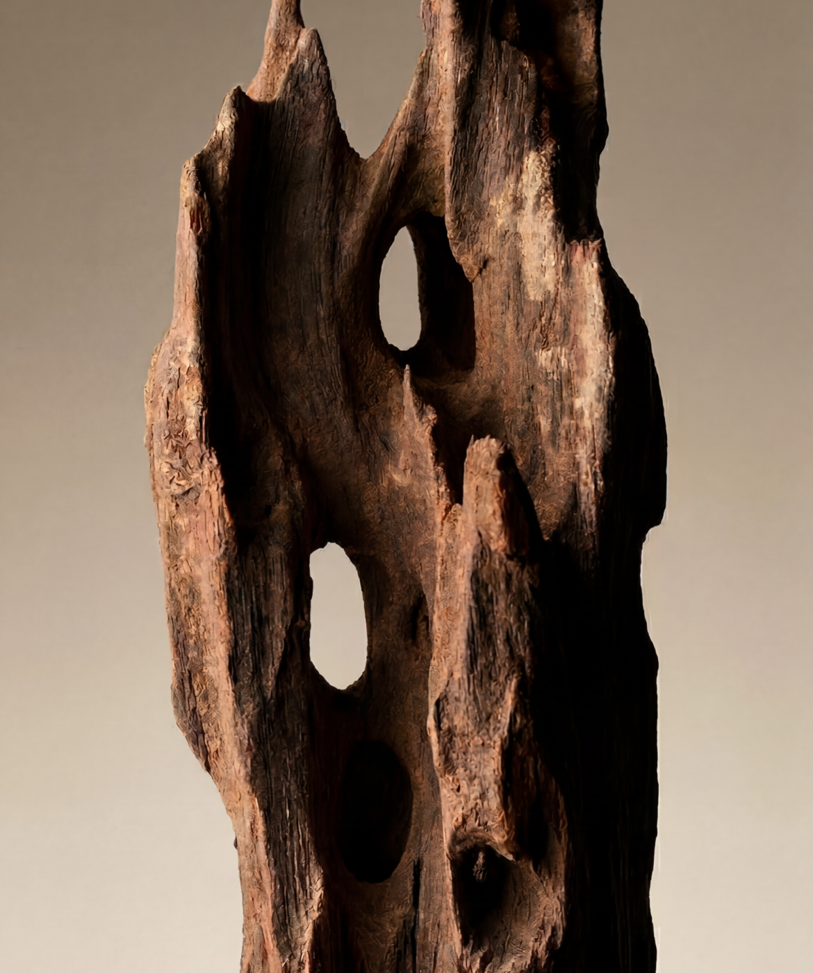 Close up image of the Oud