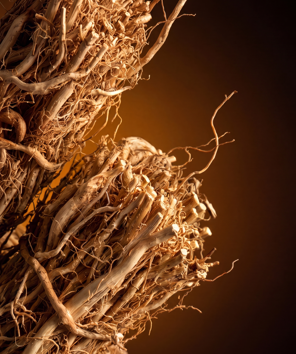 Close up image of the vetiver